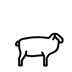 xai