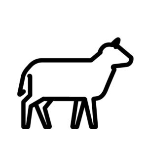 vedella