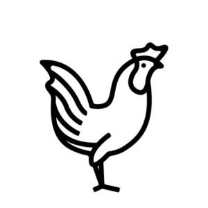 pollastre